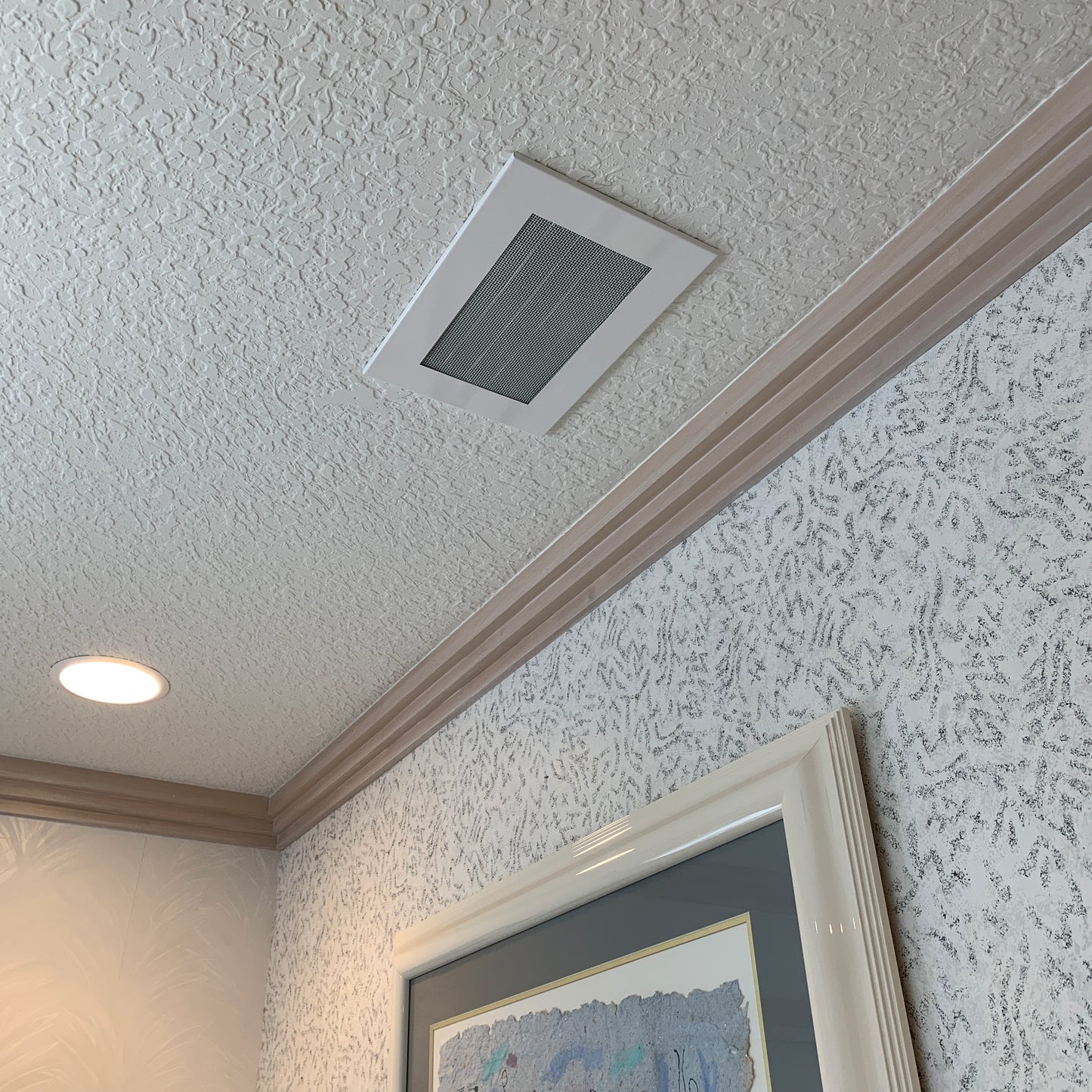AC ceiling vent - CleanVent Speaker Pattern