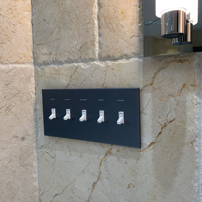 CleanPlate Classic Wall Plate in Designer Gray | Light switches