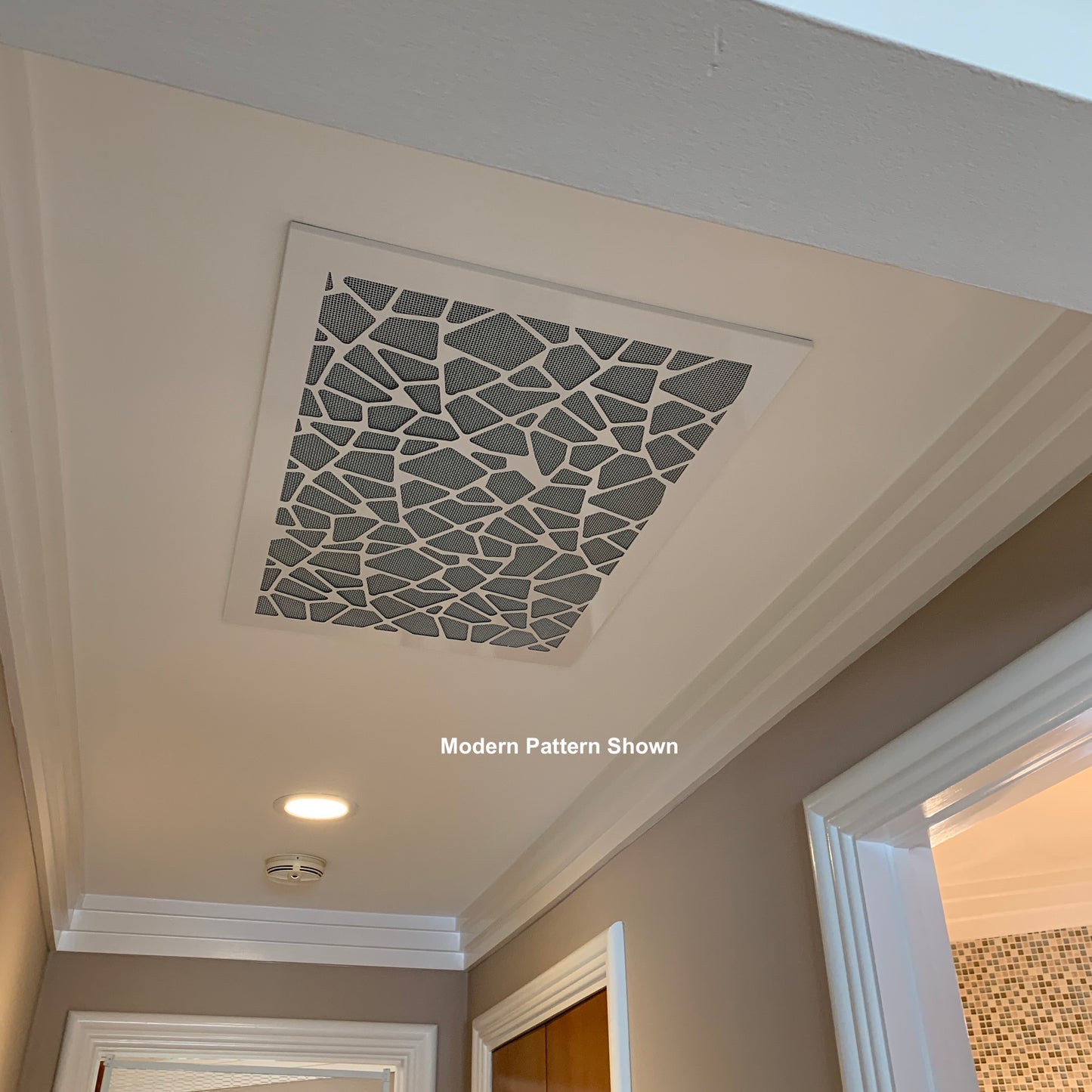 CleanVent RETRO-FIT Intake cover - AC Vent Cover